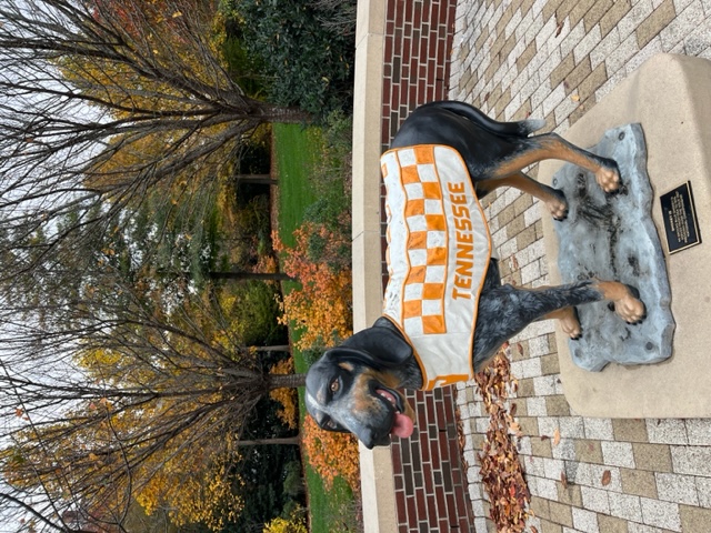 SmokeyFall1 SmokeyFall1